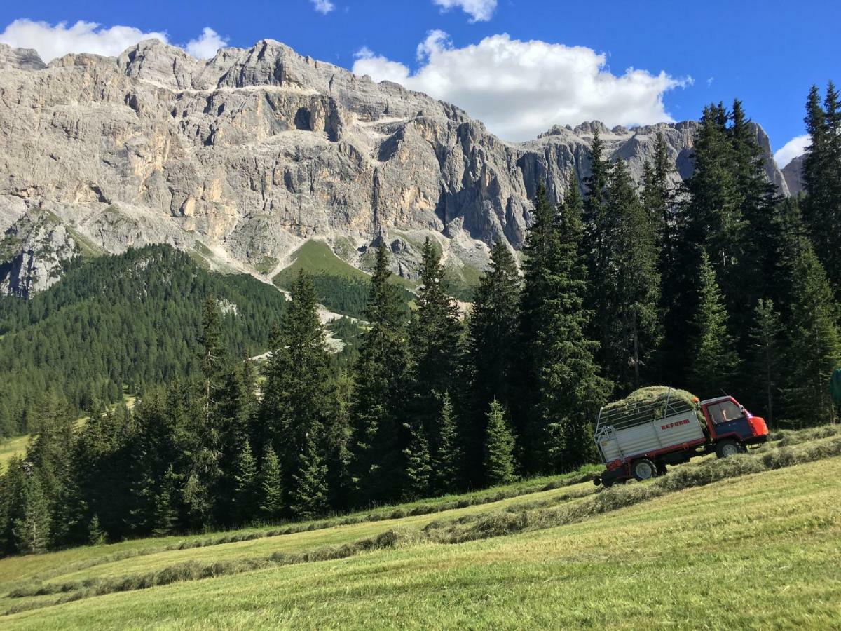 Chalet Albric Selva di Val Gardena Luaran gambar
